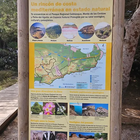 Blanca * لا مانغا ذيل مار مينور